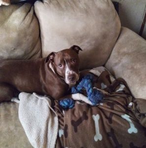 Meet your Posher, Brandy